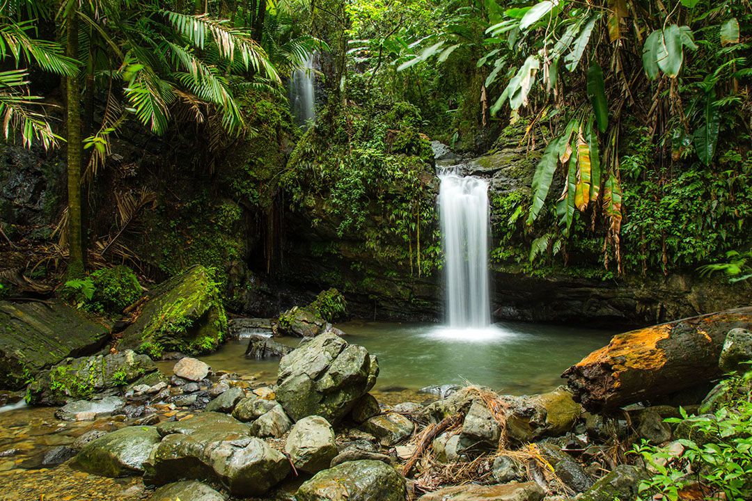 el-yunque-1-scaled